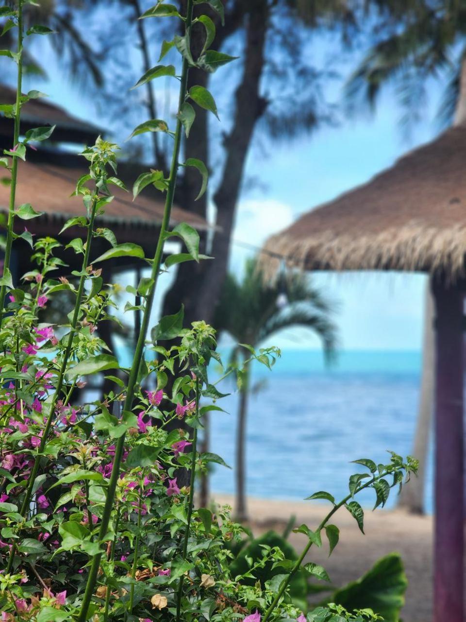 A Little Bungalows By Beach Amphoe Koksamui Exteriör bild